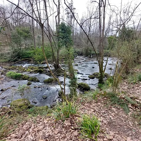 Duplex La Plaza * 오스나요