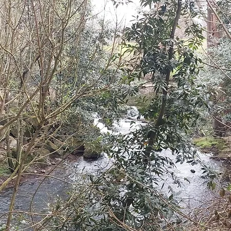 Duplex La Plaza * 오스나요