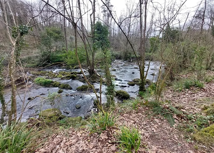 Duplex La Plaza * Оснайо